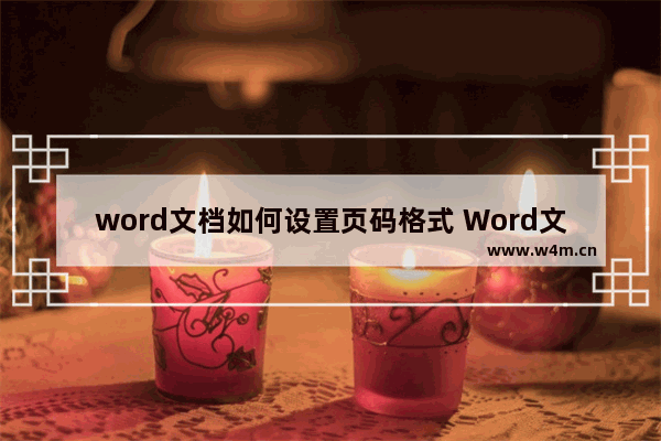 word文档如何设置页码格式 Word文档设置各种页码的方法