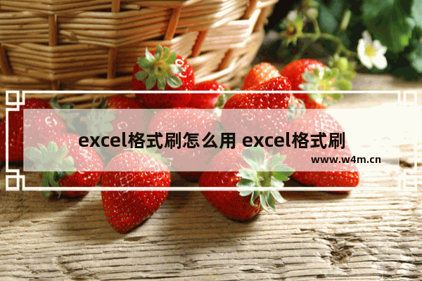 excel格式刷怎么用 excel格式刷使用技巧