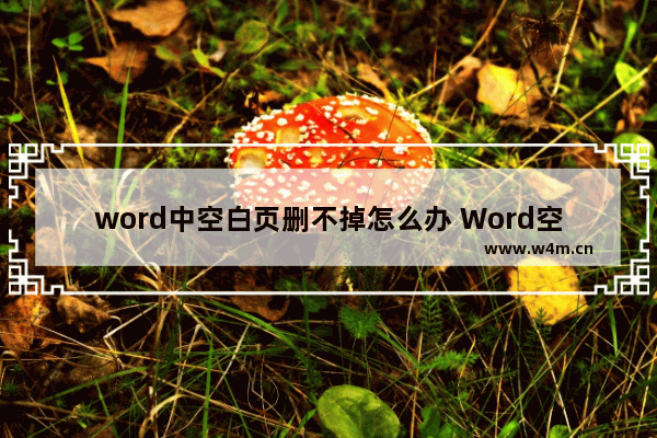 word中空白页删不掉怎么办 Word空白页删不了的解决方法