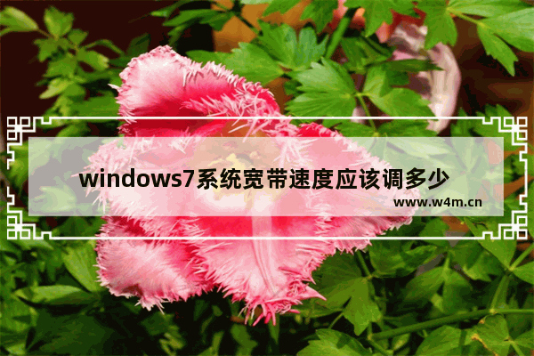 windows7系统宽带速度应该调多少 宽带速度怎么调