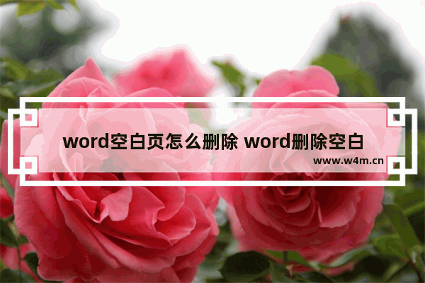 word空白页怎么删除 word删除空白页的方法