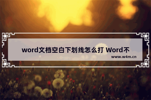 word文档空白下划线怎么打 Word不显示下划线解决方法