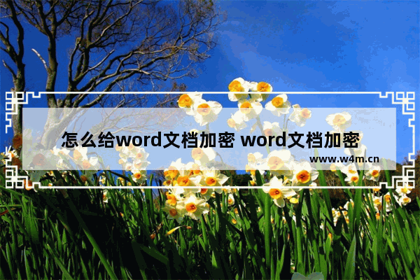 怎么给word文档加密 word文档加密的方法