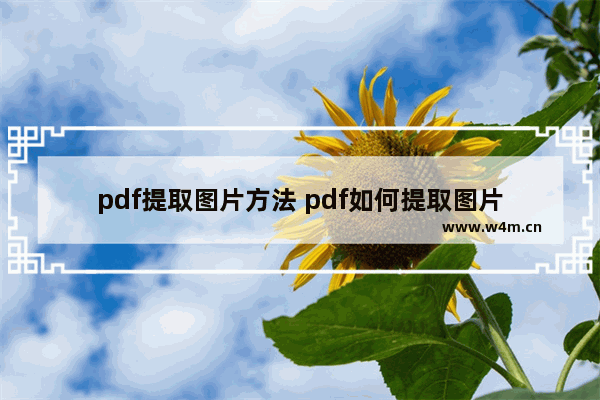 pdf提取图片方法 pdf如何提取图片