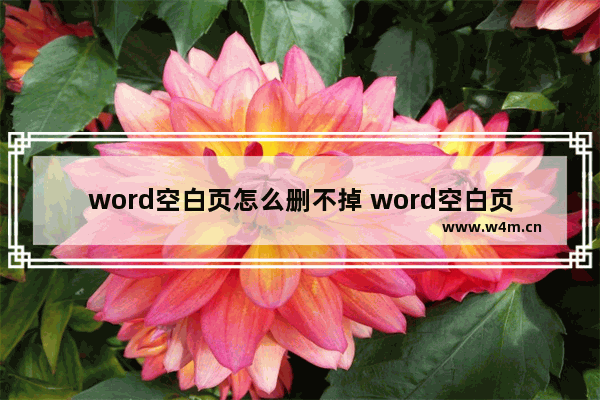 word空白页怎么删不掉 word空白页删不掉的解决方法