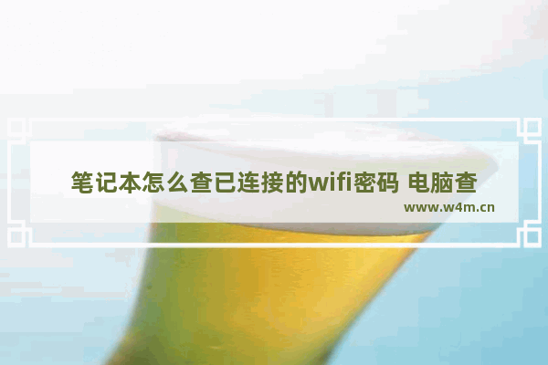 笔记本怎么查已连接的wifi密码 电脑查询已连接wifi密码的方法