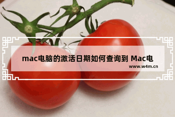 mac电脑的激活日期如何查询到 Mac电脑激活日期查询的方法