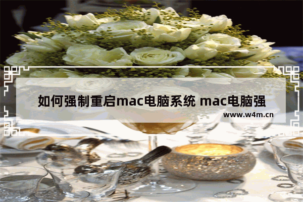 如何强制重启mac电脑系统 mac电脑强制重启的方法