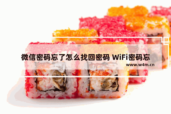 微信密码忘了怎么找回密码 WiFi密码忘了咋办