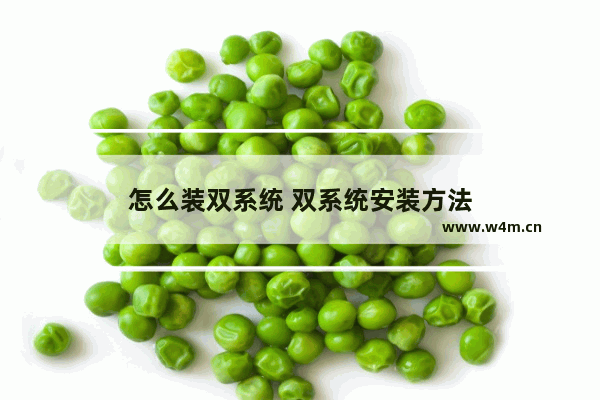 怎么装双系统 双系统安装方法