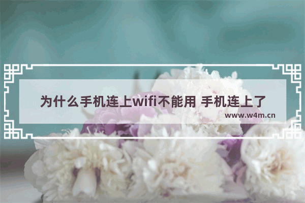 为什么手机连上wifi不能用 手机连上了WiFi这几个方法搞定