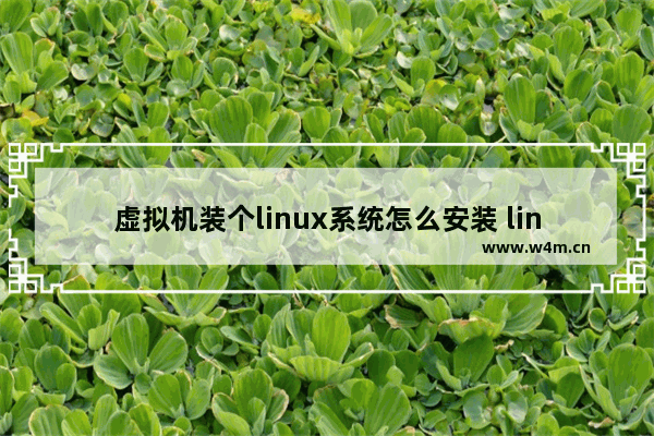 虚拟机装个linux系统怎么安装 linux操作系统虚拟机安装教程图解