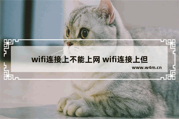 wifi连接上不能上网 wifi连接上但不能上网解决办法