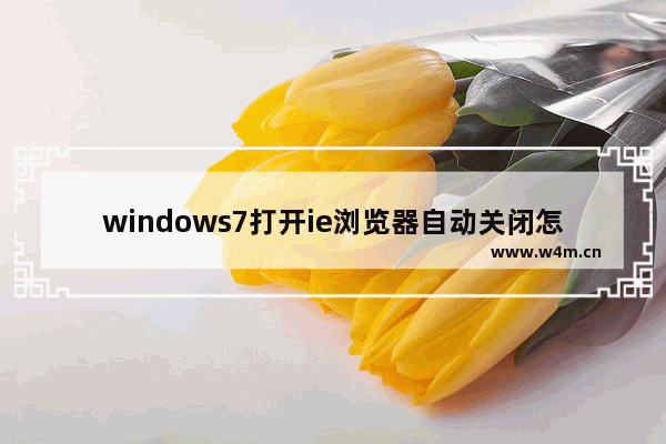 windows7打开ie浏览器自动关闭怎么办