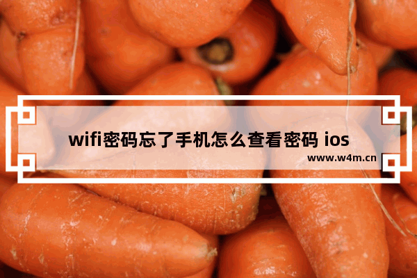 wifi密码忘了手机怎么查看密码 ios16查看wifi密码图文教程