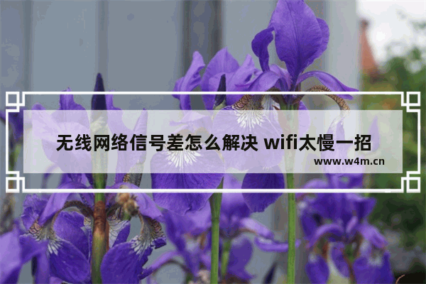 无线网络信号差怎么解决 wifi太慢一招设置网速起飞