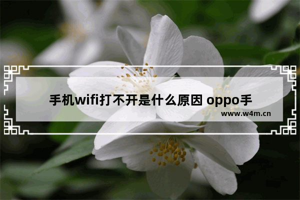 手机wifi打不开是什么原因 oppo手机wifi功能打不开解决办法