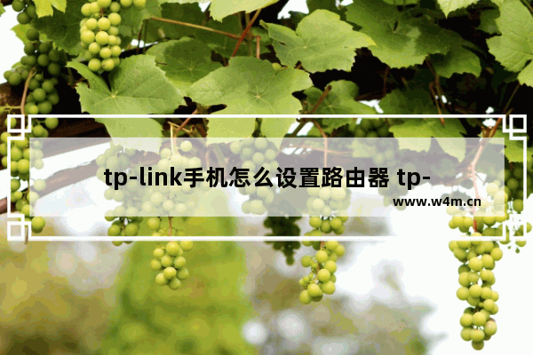 tp-link手机怎么设置路由器 tp-link路由器手机设置步骤图解