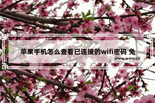 苹果手机怎么查看已连接的wifi密码 免费的教程分享给你们