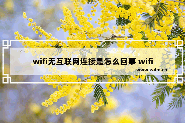 wifi无互联网连接是怎么回事 wifi已连接无法访问互联网的原因