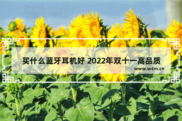 买什么蓝牙耳机好 2022年双十一高品质蓝牙耳机选购推荐指南