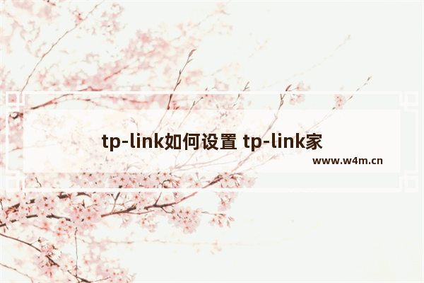 tp-link如何设置 tp-link家用无线路由器设置方法