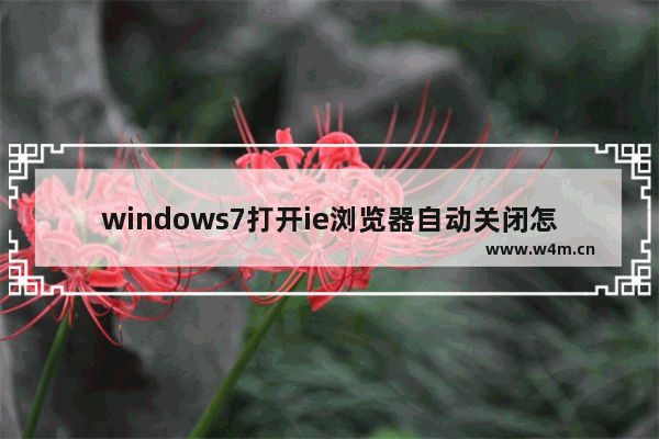 windows7打开ie浏览器自动关闭怎么处理