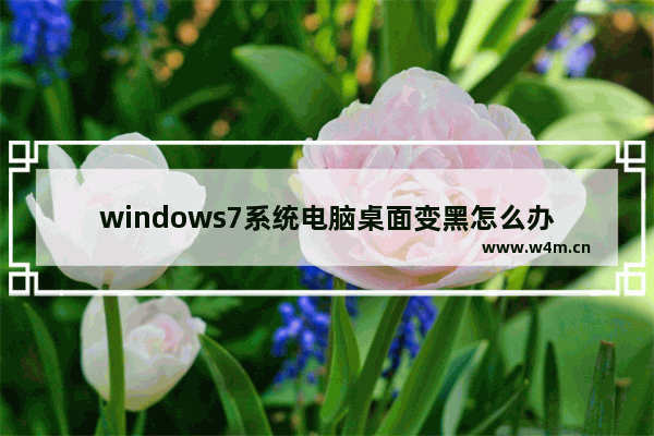 windows7系统电脑桌面变黑怎么办