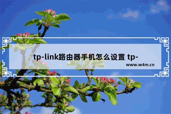 tp-link路由器手机怎么设置 tp-linktl-wr880n设置方法