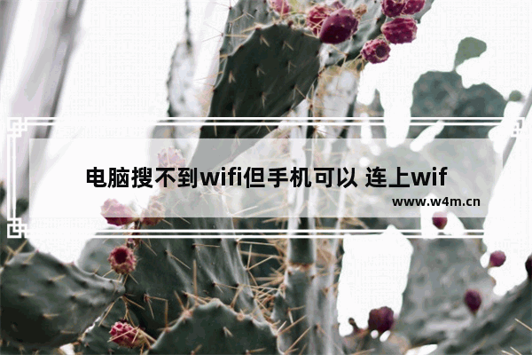 电脑搜不到wifi但手机可以 连上wifi无线网络的解决方法