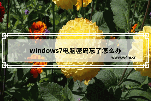 windows7电脑密码忘了怎么办