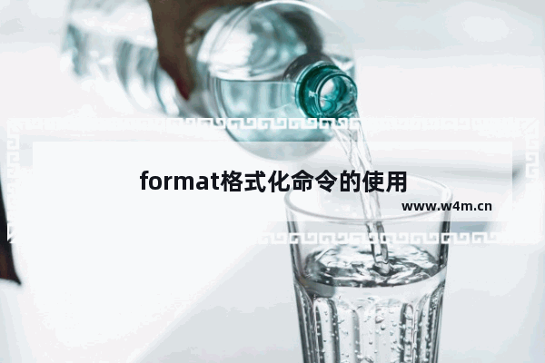 format格式化命令的使用