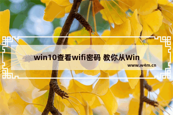 win10查看wifi密码 教你从Win10找回WiFi密码