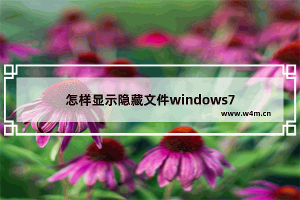 怎样显示隐藏文件windows7