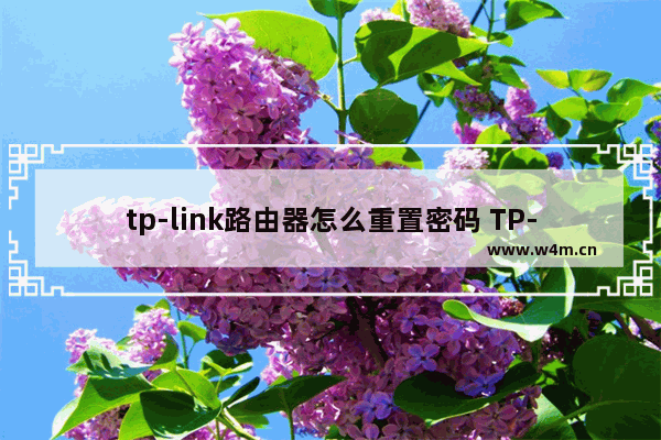 tp-link路由器怎么重置密码 TP-LINK AX6000路由器