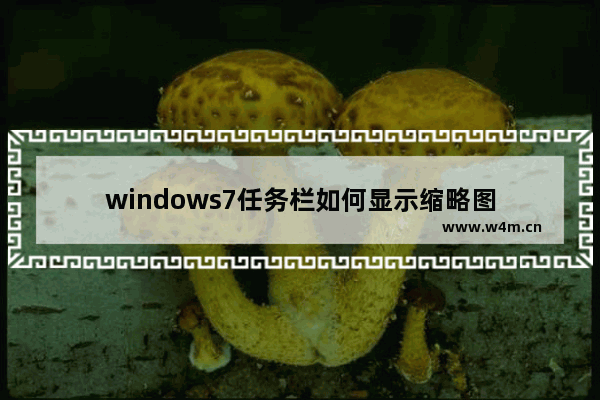 windows7任务栏如何显示缩略图