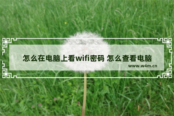 怎么在电脑上看wifi密码 怎么查看电脑连接的wifi密码