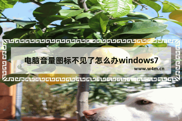 电脑音量图标不见了怎么办windows7