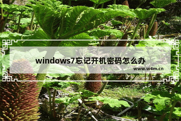 windows7忘记开机密码怎么办