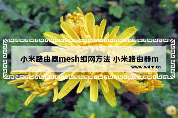 小米路由器mesh组网方法 小米路由器mesh无线组网最佳组合