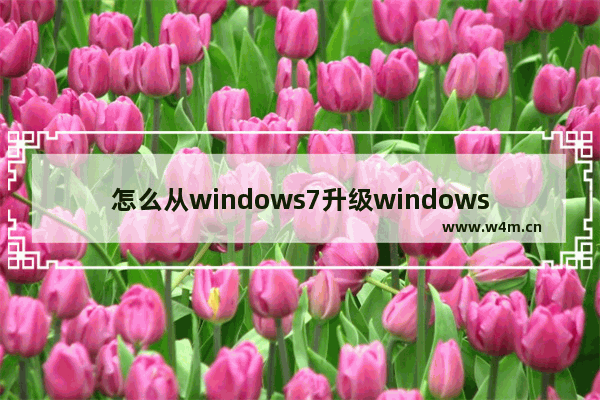 怎么从windows7升级windows10