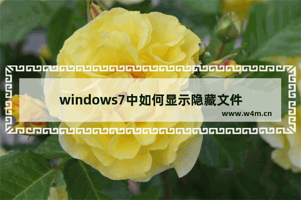 windows7中如何显示隐藏文件