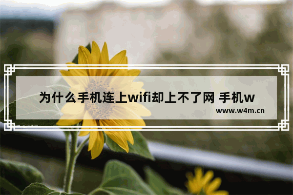 为什么手机连上wifi却上不了网 手机wifi连接不能上网解决方法