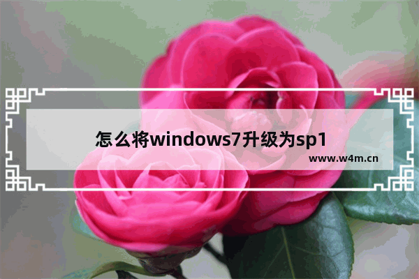 怎么将windows7升级为sp1