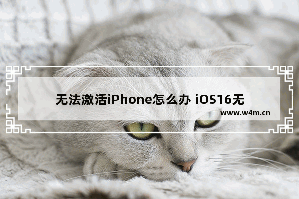 无法激活iPhone怎么办 iOS16无法激活解决办法