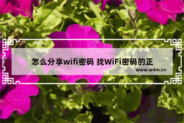 怎么分享wifi密码 找WiFi密码的正确方法