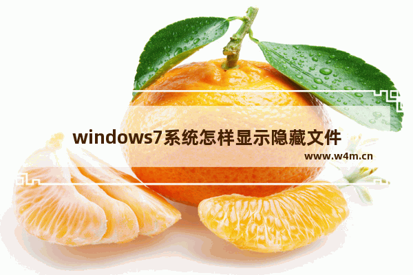 windows7系统怎样显示隐藏文件