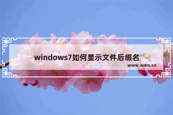 windows7如何显示文件后缀名