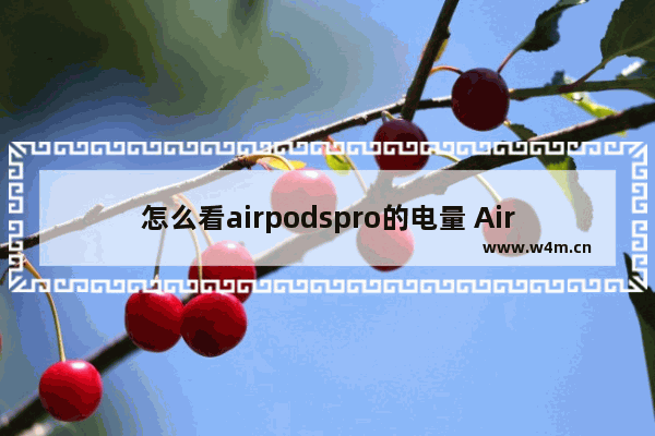 怎么看airpodspro的电量 AirPods电量的查看方法