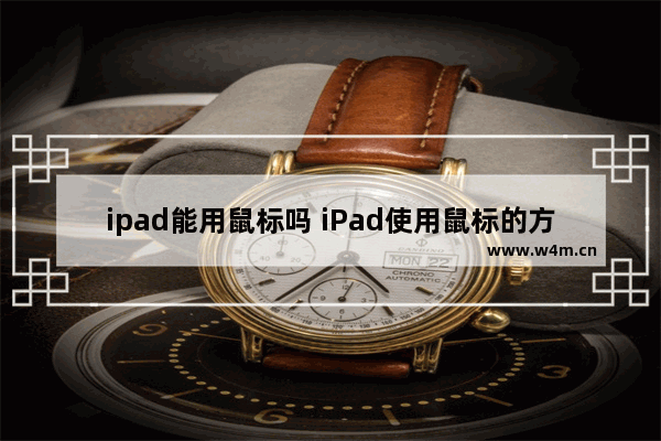 ipad能用鼠标吗 iPad使用鼠标的方法